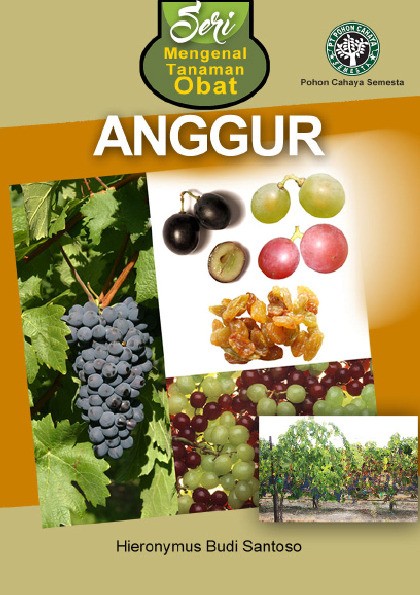 Seri Mengenal Tanaman Obat Anggur