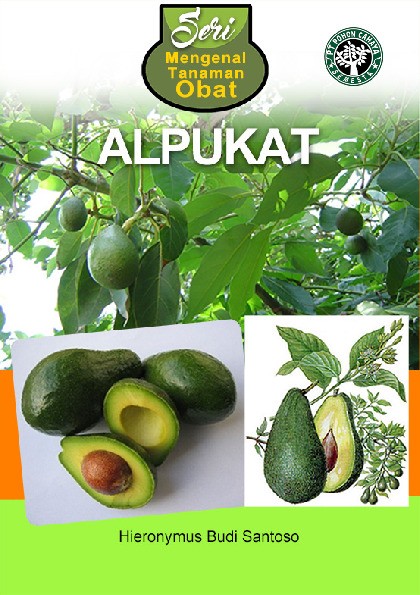 Seri Mengenal Tanaman Obat; Alpukat