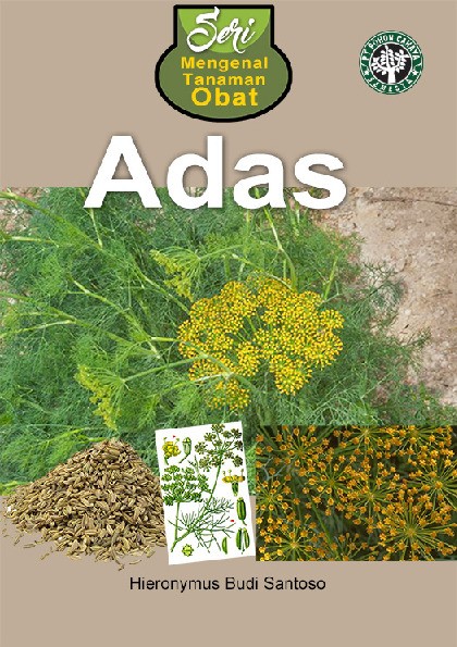Seri Mengenal Tanaman Obat - Adas